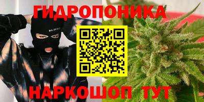 СК Лесосибирск